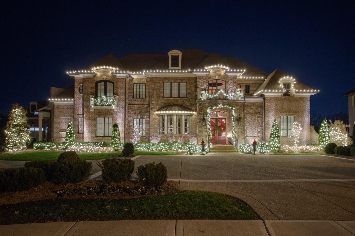 Tree wraps & entry focus — layered sparkle with depth.